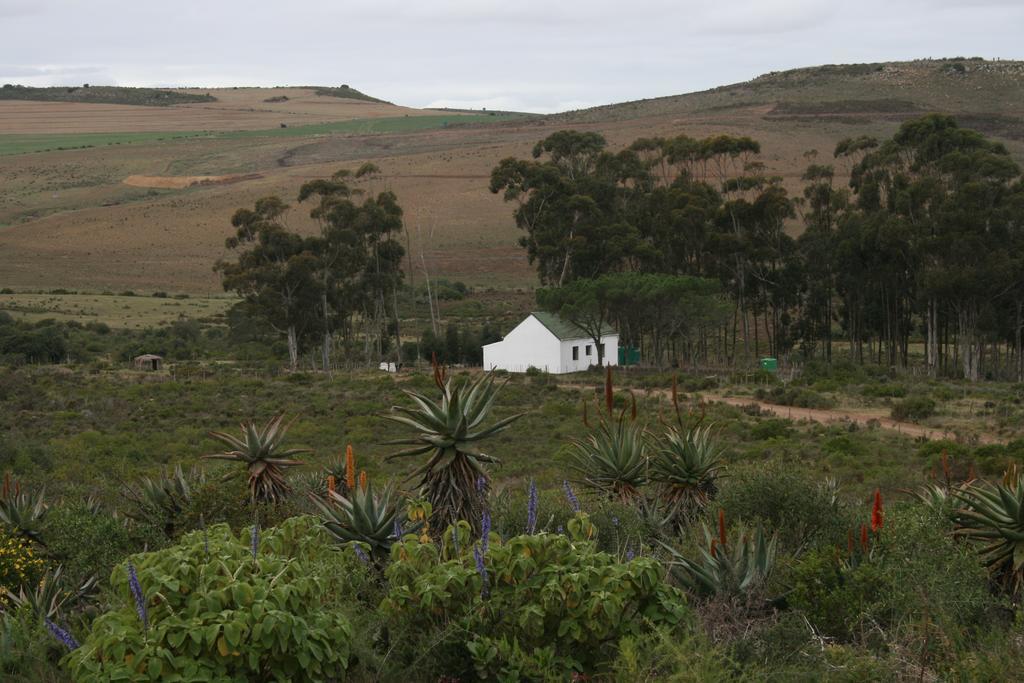 Villa Infinity Farm à Riversdale Chambre photo