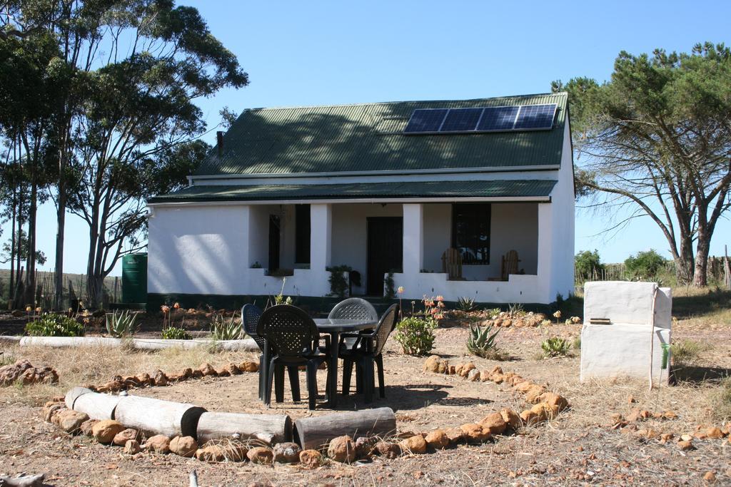 Villa Infinity Farm à Riversdale Extérieur photo