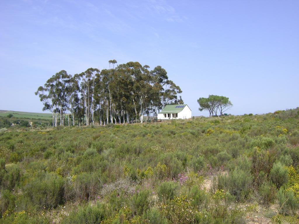 Villa Infinity Farm à Riversdale Extérieur photo